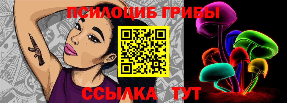 Пушкино  Галлюциногенные грибы MAGIC MUSHROOMS  Галлюциногенные грибы Psilocybine cubensis  дарнет шоп  Вход с VPN 